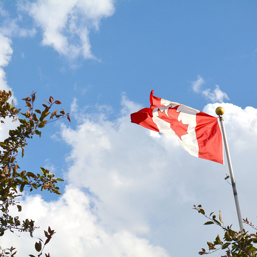 Canada flag blowing in the wind with blue skies.